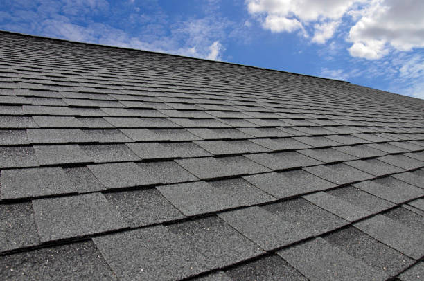 Best Skylight Installation and Repair  in Thompsons Station, TN